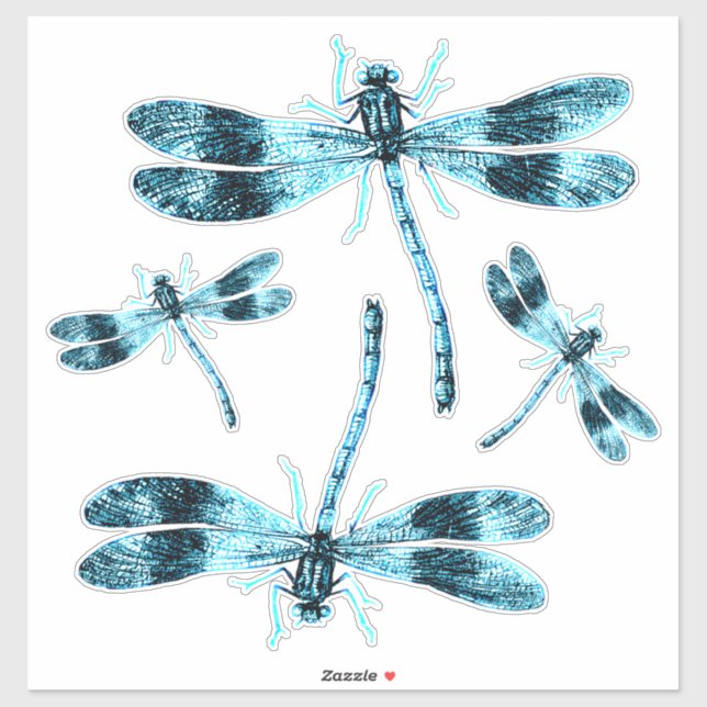 Vintage Insects Blue Damsel Dragonflies Etymology Sticker (Sheet)
