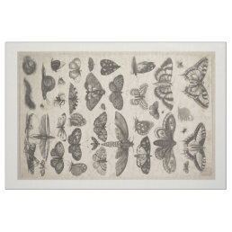 Vintage Insects Entomology Lepidoptera Tapestry Fabric