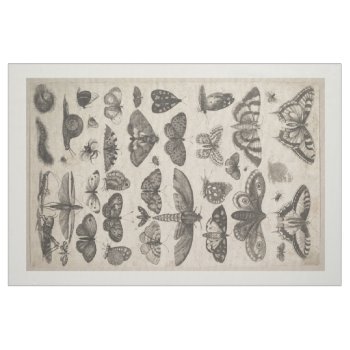 Vintage Insects Entomology Lepidoptera Tapestry Fabric by expiredink at Zazzle