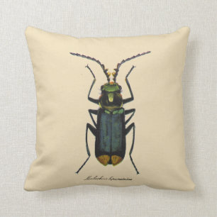 Vintage Insects Entomology Malachite Beetle Rever. Throw Pillow