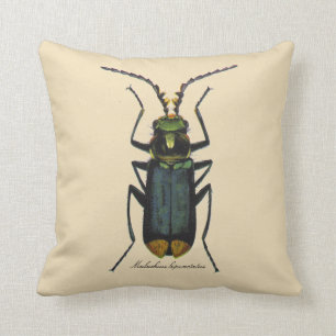Vintage Insects Entomology Malachite Beetle Rever. Throw Pillow