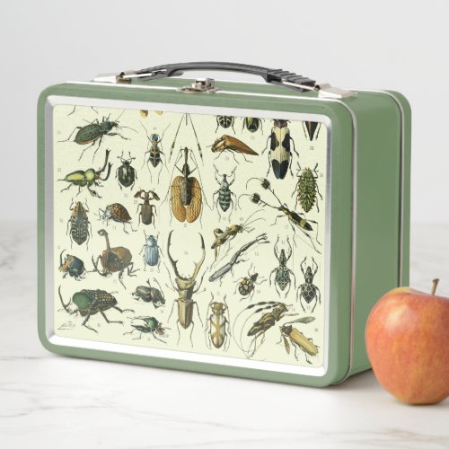 Vintage Insects Metal Lunch Box