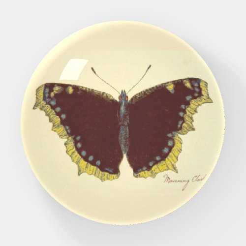 Vintage Insects Mourning Cloak Butterfly Drawing Paperweight