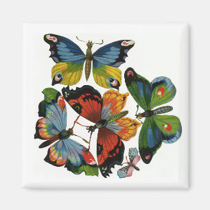 Vintage Insects or Bugs, Beautiful Butterflies Magnet