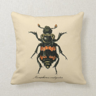 Vintage Insects Sexton Beetle Entomology Revers. Throw Pillow