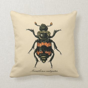 Vintage Insects Sexton Beetle Entomology Revers. Throw Pillow by Angharad13 at Zazzle