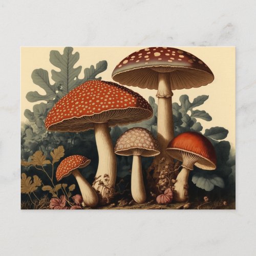 Vintage Inspired Cottagecore Mushroom Art Postcard