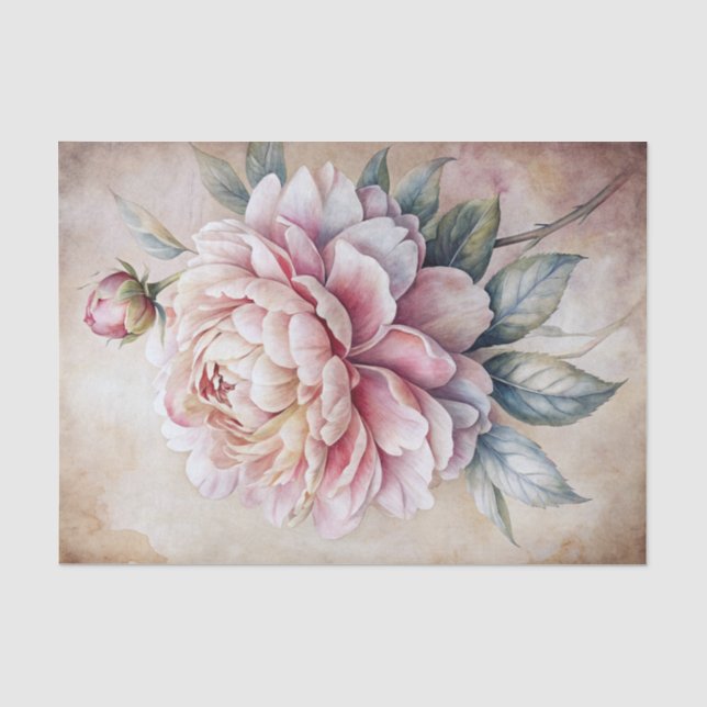 Vintage Inspired Single Pastel Peony Flower Tissue Paper (Front)