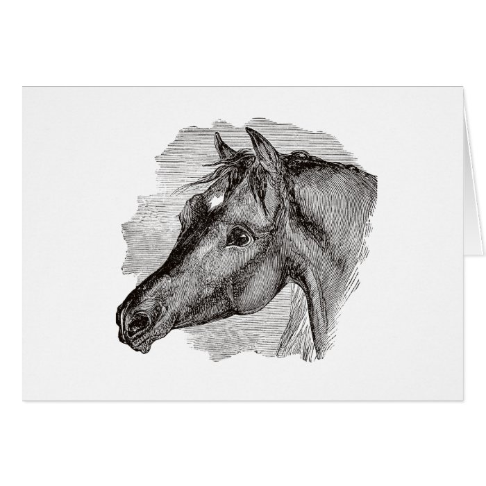 Vintage Intelligent Horse Template Greeting Card