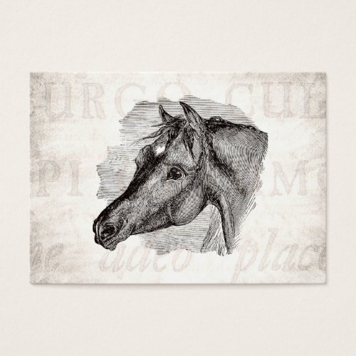 Vintage Intelligent Horse Template w Antique Text Business Card