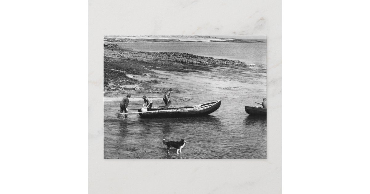 Vintage Ireland, Aran Island Currach Boats Postcard