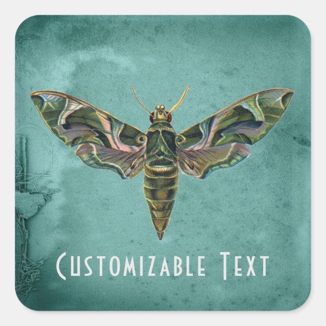 Vintage Iridescent Moth Customizable Square Sticker (Front)