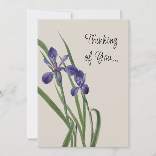 Vintage Iris Flowers Botanical Watercolor Note  Card