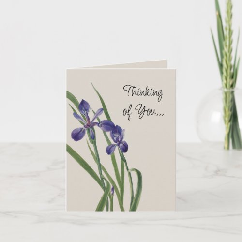 Vintage Iris Flowers Botanical Watercolor Note Card