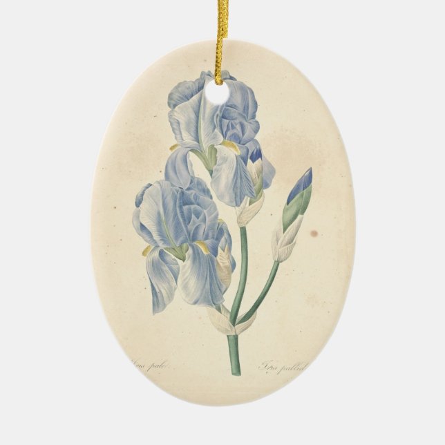 Vintage Irises custom Memorial Photo Ornament (Front)
