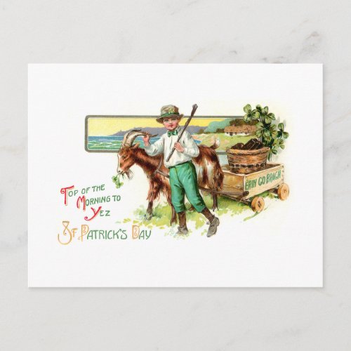 Vintage Irish Lad St Patricks Day Greeting Postcard