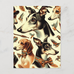 Vintage Italian Greyhound Illustration Postcard