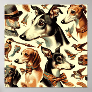 Vintage Italian Greyhound Illustration Poster