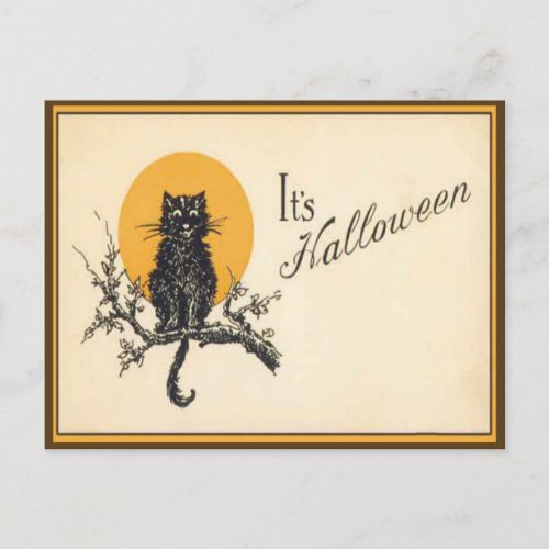 Vintage Its Halloween Black Cat Postcard