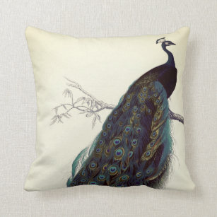 peacock colored pillows