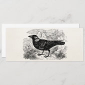 Vintage Jackdaw Crow Bird Personalized Birds Crows (Front/Back)
