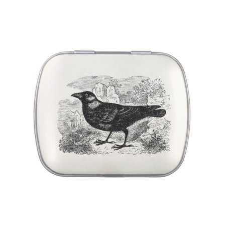 Vintage Jackdaw Crow Bird Personalized Birds Crows Jelly Belly Tin