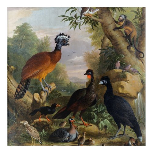 Vintage Jakob Bogdani Birds in A Landscape    Acrylic Print