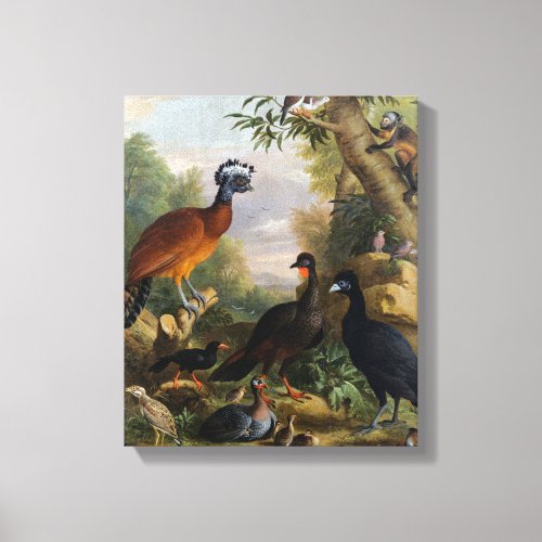 Vintage Jakob Bogdani Birds in A Landscape  Canvas Print