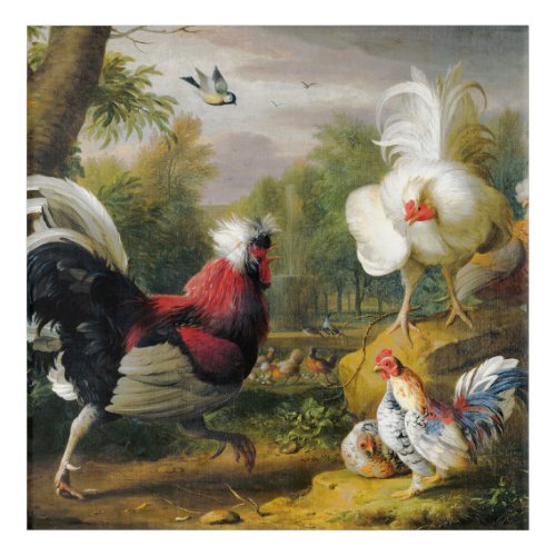 Vintage Jakob Bogdani  The Cockrels Fight    Acrylic Print