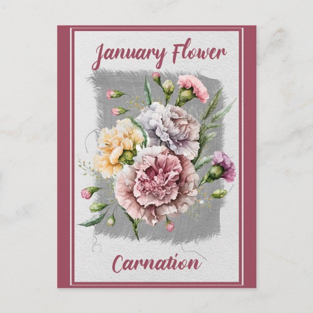 Vintage January Flower Carnation Floral Postcard (Front)
