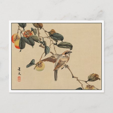 Vintage Japanese Art Bird In Tree Postcard