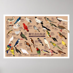 Vintage Japanese Bird Atlas Illustration Poster