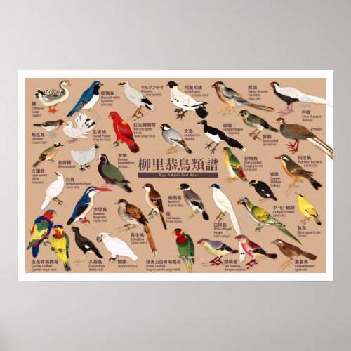 Vintage Japanese Bird Atlas Illustration Poster