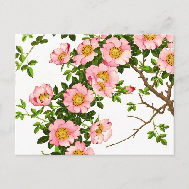 Vintage Japanese Cherry Blossoms, Pink and Gold Postcard (Front)
