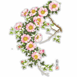 Vintage Japanese Cherry Blossoms, Pink and Gold Sticker