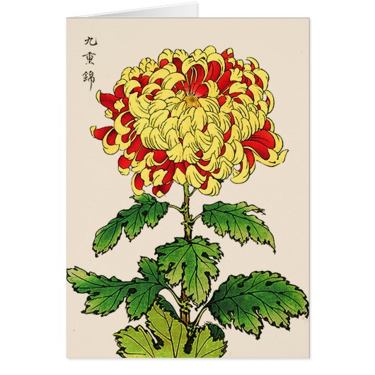 Vintage Japanese Chrysanthemum. Mustard Yellow (Front)