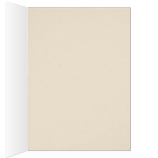 Vintage Japanese Chrysanthemum. Mustard Yellow (Inside (Right))