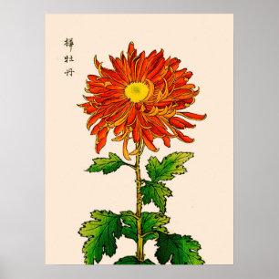 Vintage Japanese Chrysanthemum. Orange and Gold Poster