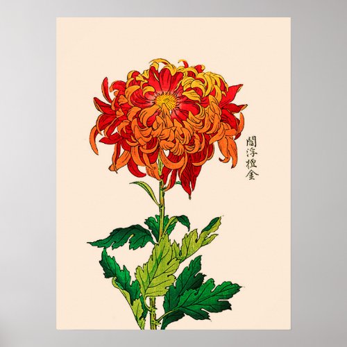 Vintage Japanese Chrysanthemum Rust and Orange Poster
