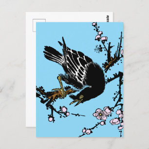 Vintage Japanese Crow and Cherry Blossoms Postcard