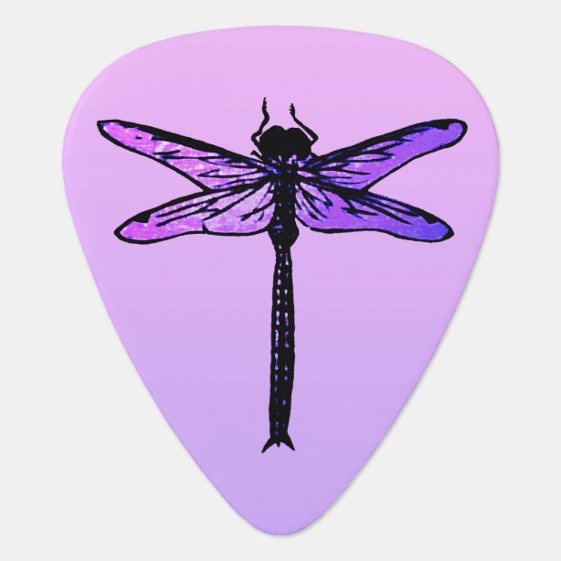 Dragonfly Guitar Picks & Guitar Accessories Zazzle