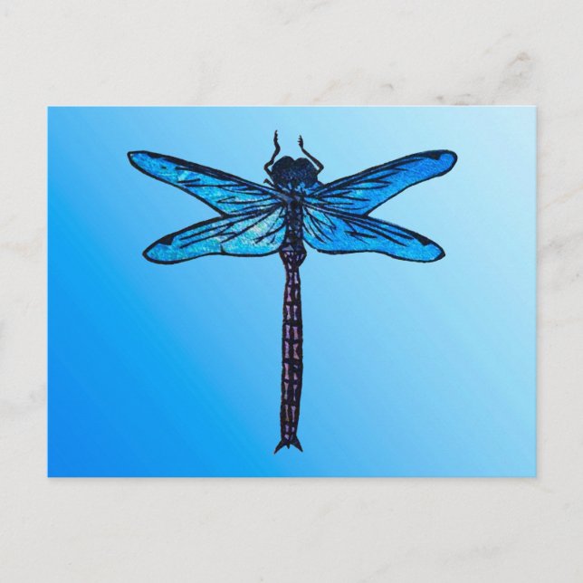 Vintage Japanese Dragonfly, sapphire blue Postcard (Front)