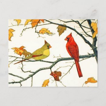 Vintage Japanese Drawing  Cardinals On A Branch Postcard by Floridity at Zazzle