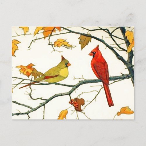 Vintage Japanese drawing Cardinals on a branch Postcard