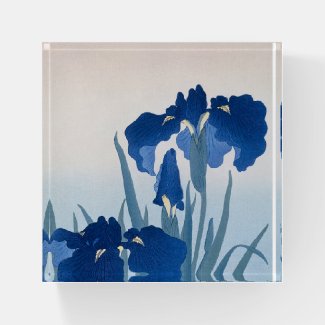 Vintage Japanese Fine Art: Blue Irises Paperweight