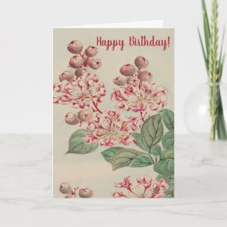 Vintage Japanese Fine Art Cherry Blossom Birthday  Card