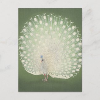 Vintage Japanese Fine Art | Peacock Postcard