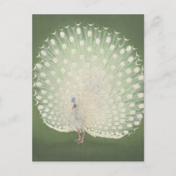 Vintage Japanese Fine Art | Peacock