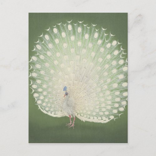 Vintage Japanese Fine Art  Peacock Postcard