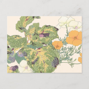 Vintage Japanese Floral Beautiful Orange Flowers Postcard
